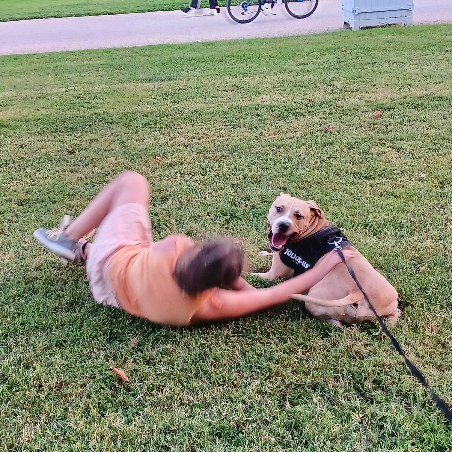 Kiwi a rejoint le concours — aidez-le/la à gagner de superbes lots ! bicycle, carnivore, companion_dog, dog, dog_breed, eyewear, fawn, grass, grassland, happy, hat, human_leg, knee, lawn, leisure, people_in_nature, recreation, sunglasses, thigh, wheel