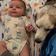 Octavyus is registered to the contest to win money with this photo: baby, dog, blanket, floor, onesie, socks, animal, pet, indoor, cute, infant, lying_down, companion, friendship, soft_texture, autumn, pattern, comfort, portrait, bond