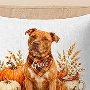Grace is registered to the contest to win money with this photo: dog, brown_dog, pet, portrait, sitting, autumn, fall, pumpkins, gourds, leaves, pillow, cushion, home_decor, thanksgiving, mug, plaid_bandana, digital_art, decorative_print, phone_screenshot, browser