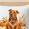 dog, brown_dog, pet, portrait, sitting, autumn, fall, pumpkins, gourds, leaves, pillow, cushion, home_decor, thanksgiving, mug, plaid_bandana, digital_art, decorative_print, phone_screenshot, browser