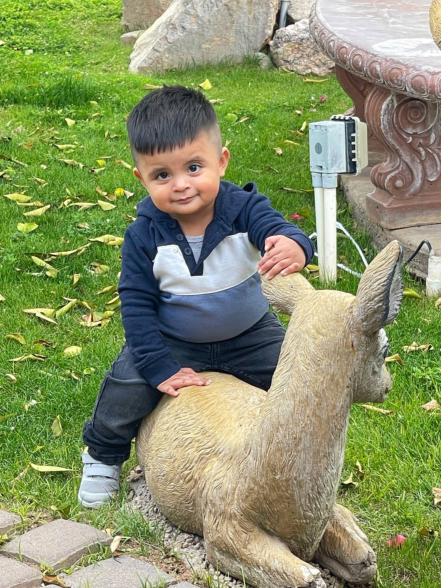 Nathaniel is registered to the contest to win money with this photo: animal, backyard, boy, child, clothing, face, grass, head, male, nature, outdoors, pants, park, person, photography, plant, portrait, rock, sitting, zoo