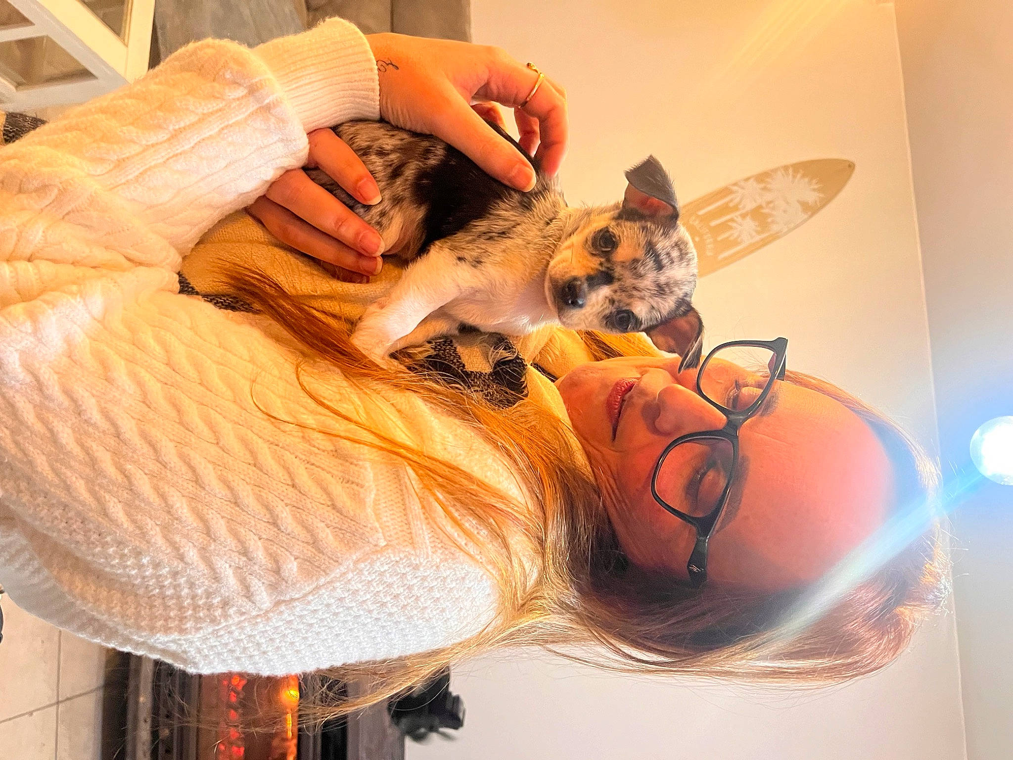 Ulysse a rejoint le concours — aidez-le/la à gagner de superbes lots ! carnivore, comfort, companion_dog, dog_breed, dress, ear, eyelash, fawn, felidae, hand, happy, human_leg, leg, long_hair, orange, small_to_medium_sized_cats, thigh, toy, whiskers, wood