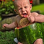 Arthur joined the competition — help win amazing prizes! baby, infant, watermelon, outdoor, grass, green, sign, wooden_sign, six_months, cute, chubby, summer, nature, flower, red_flower, skin, expression, sitting, young_child, portrait