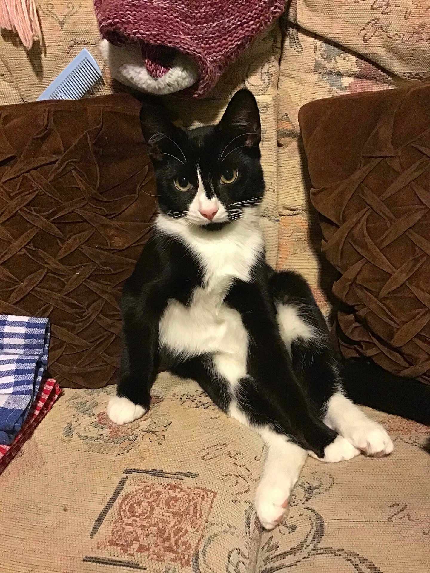 Mickey