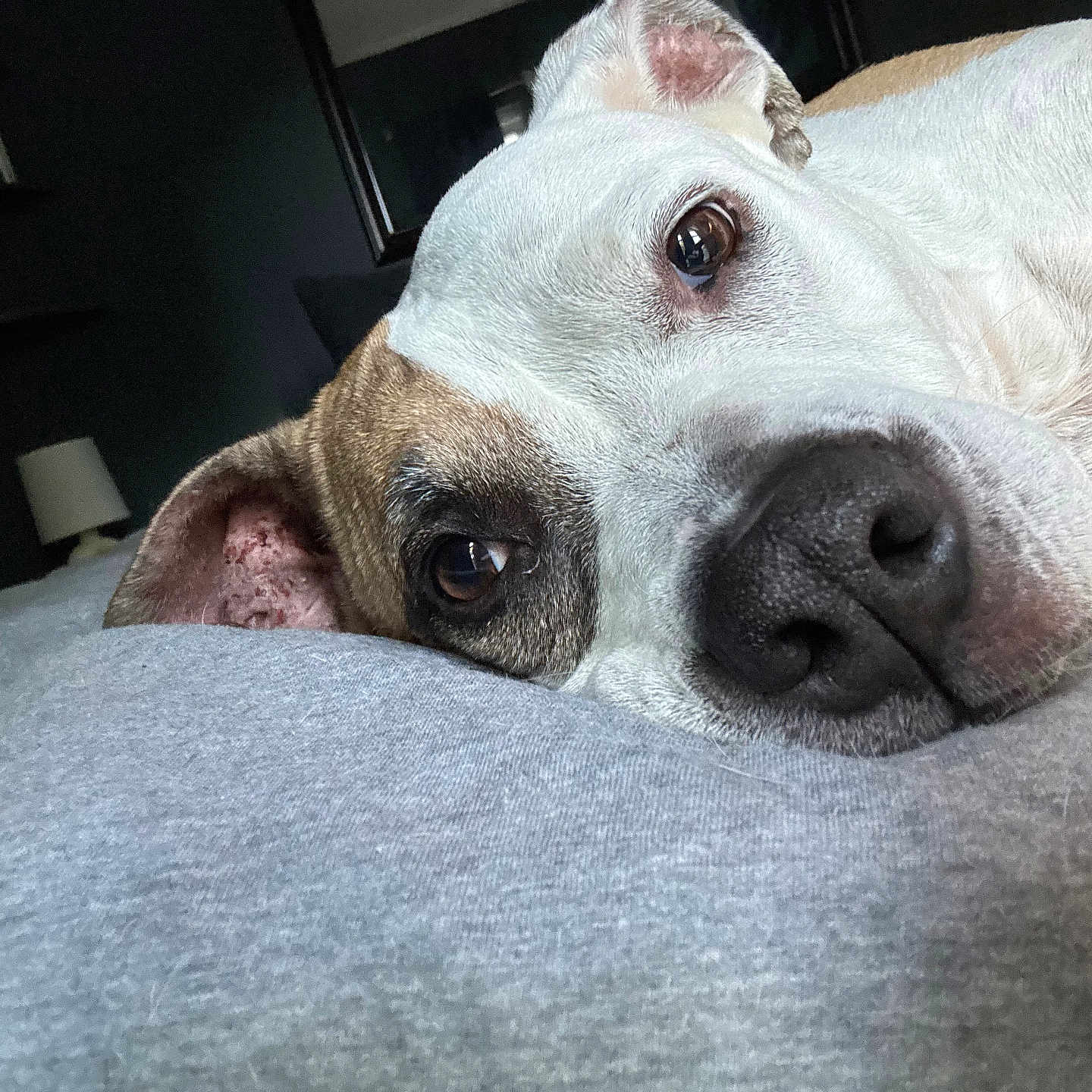 Luna