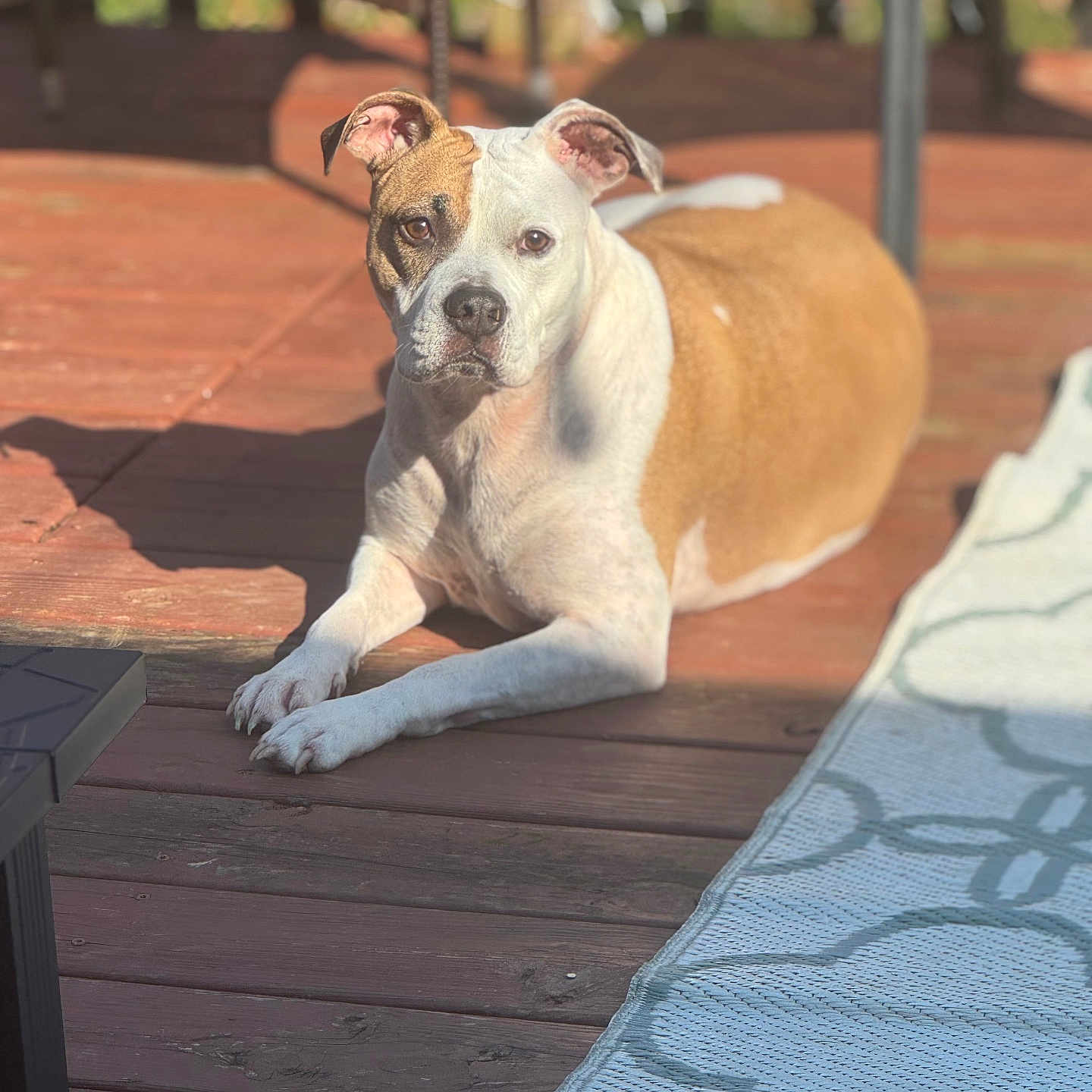 Luna