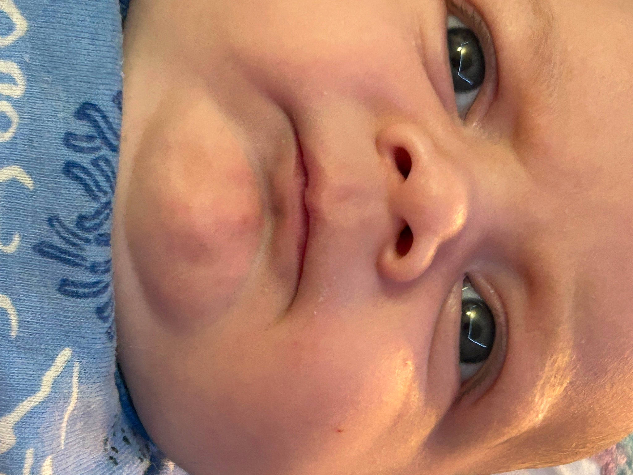 Kasen is registered to the contest to win money with this photo: baby, cheek, child, chin, close_up, ear, eye, eyebrow, eyelash, face, forehead, fun, happy, iris, lip, mouth, neck, nose, person, skin