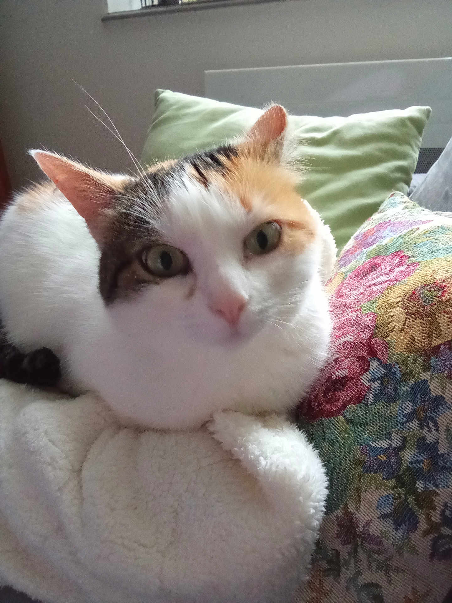 Calinette