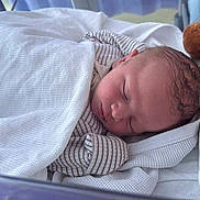 Thomas is registered to the contest to win money with this photo: newborn, baby, sleeping, blanket, plush_toy, giraffe, bed, soft_light, peaceful, infant, wrapped, cozy, indoors, portrait, cute, resting, clothing, head, face, young_child