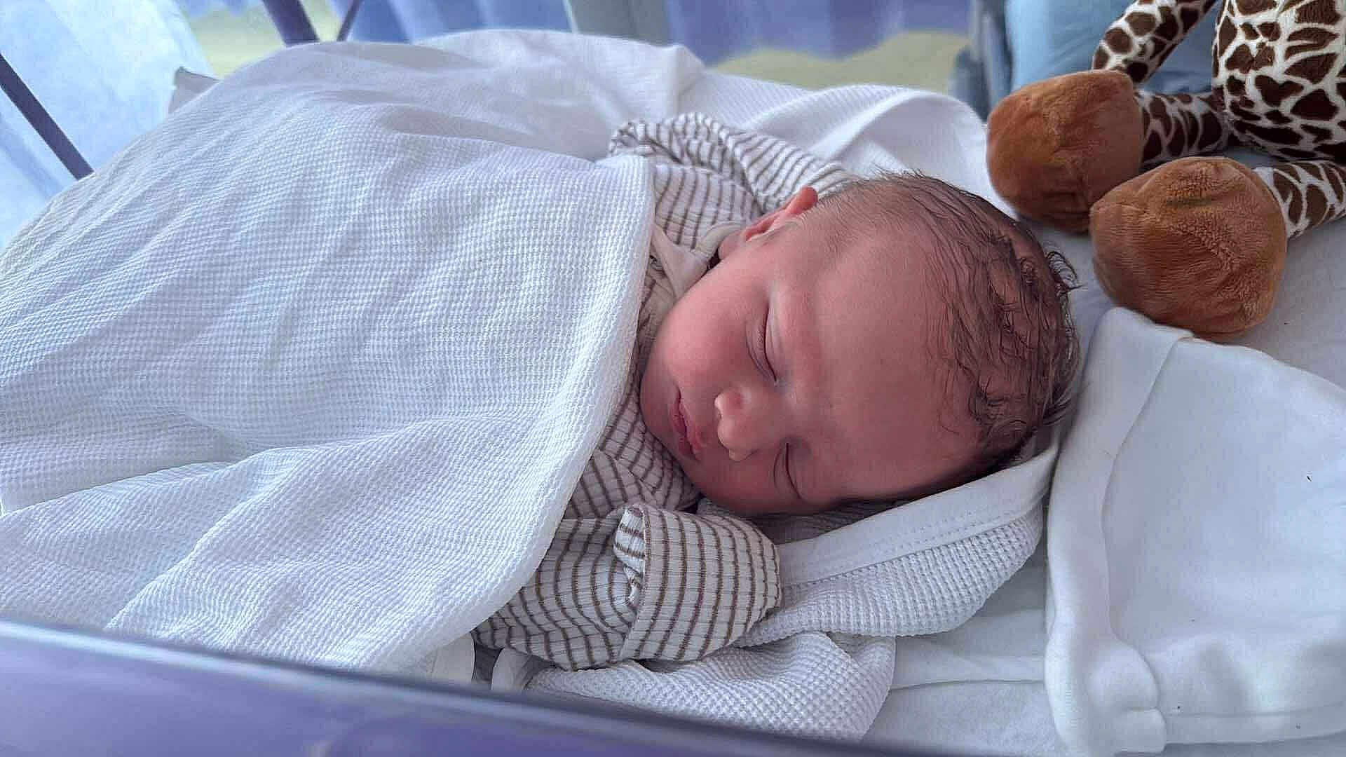 Thomas is registered to the contest to win money with this photo: newborn, baby, sleeping, blanket, plush_toy, giraffe, bed, soft_light, peaceful, infant, wrapped, cozy, indoors, portrait, cute, resting, clothing, head, face, young_child