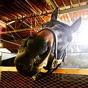 Abbie is registered to the contest to win money with this photo: