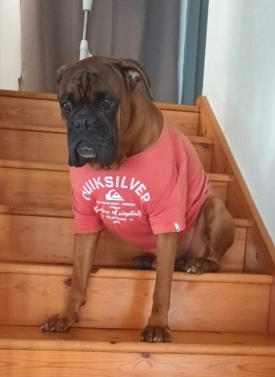 Max