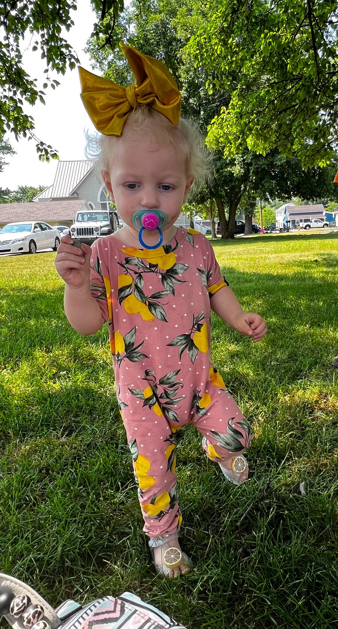 Sophia is registered to the contest to win money with this photo: baby, baby_toddler_clothing, car, child, fun, garden, grass, grassland, happy, leisure, party_supply, pattern, people_in_nature, person, plant, play, recreation, toddler, tree, wheel