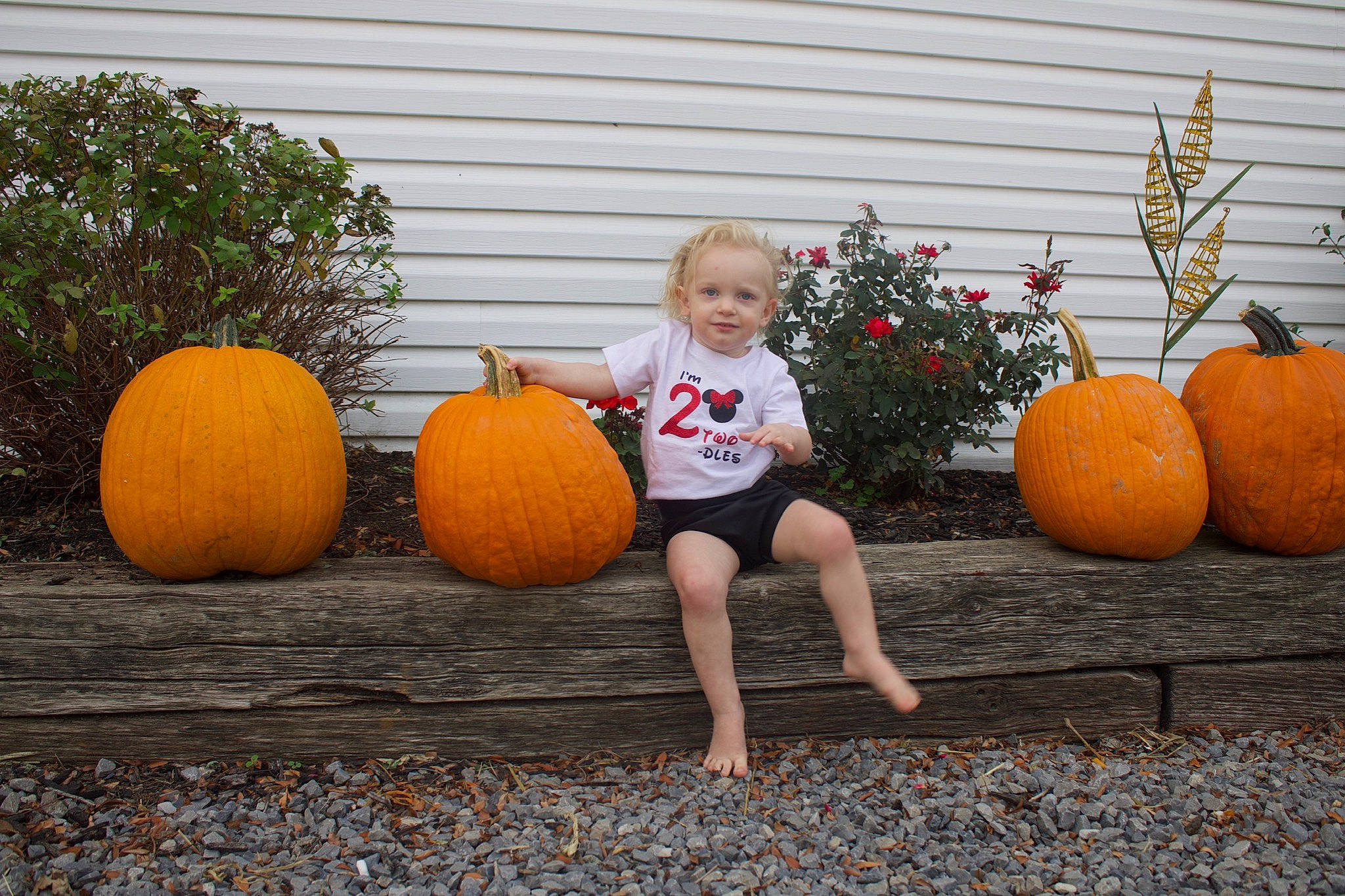 Hailie joined the competition — help win amazing prizes! _and_melon_family, _gourd, baby_toddler_clothing, calabaza, cucumber, cucurbita, foot, fruit, gourd, joy, local_food, natural_foods, orange, pebble, people_in_nature, person, produce, pumpkin, squash, vegan_nutrition