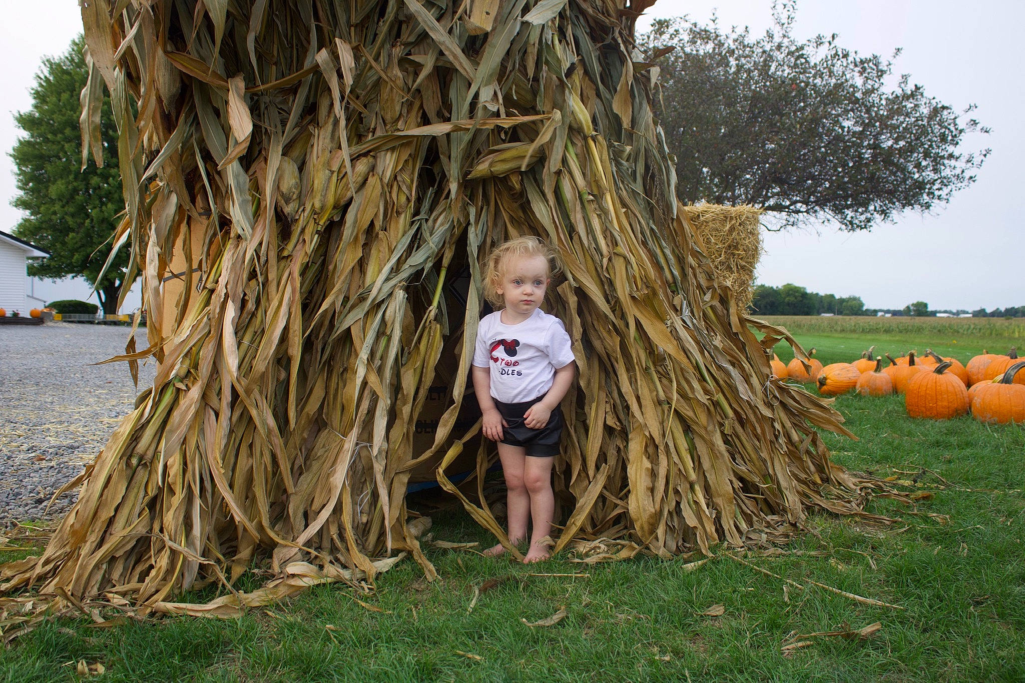 Hailie joined the competition — help win amazing prizes! _and_melon_family, _gourd, agriculture, barefoot, calabaza, cucumber, cucurbita, farm, field, foot, gourd, hay, local_food, natural_foods, person, produce, pumpkin, squash, straw, trunk