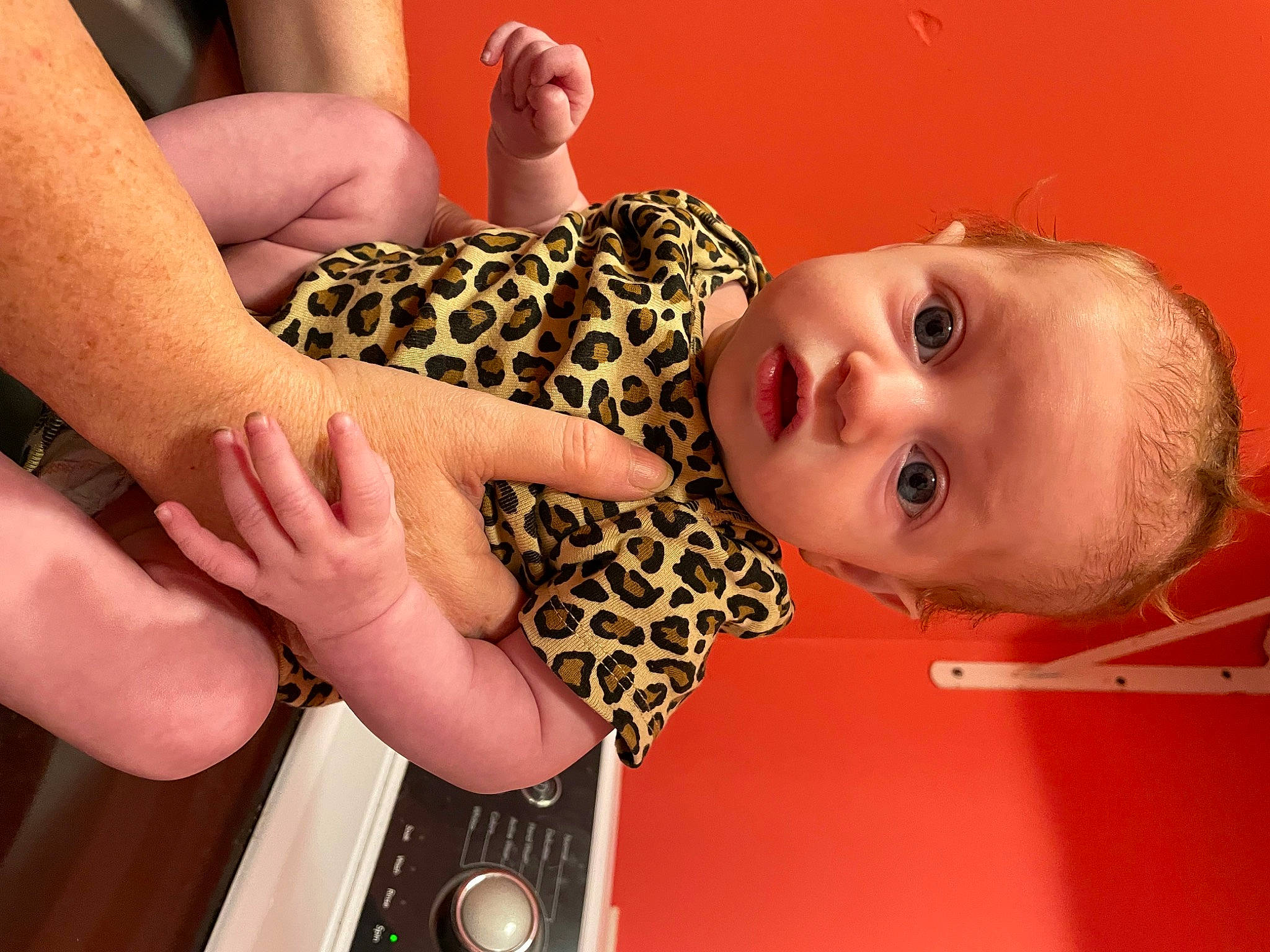 Sophia is registered to the contest to win money with this photo: arm, dress, eye, eyebrow, eyelash, fawn, finger, gesture, hair, hand, head, human_body, iris, joint, lip, mouth, neck, nose, person, skin