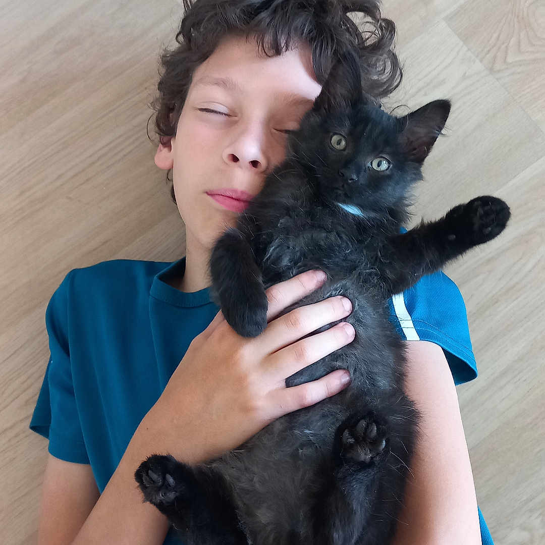 Ethan a rejoint le concours — aidez-le/la à gagner de superbes lots ! animal, arms, black_cat, blue_shirt, boy, casual_clothing, cat, child, closed_eyes, comfort, curly_hair, cute, feline, floor, friendly, hugging, indoor, pet, relaxation, wooden_floor