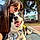 Claudia G.