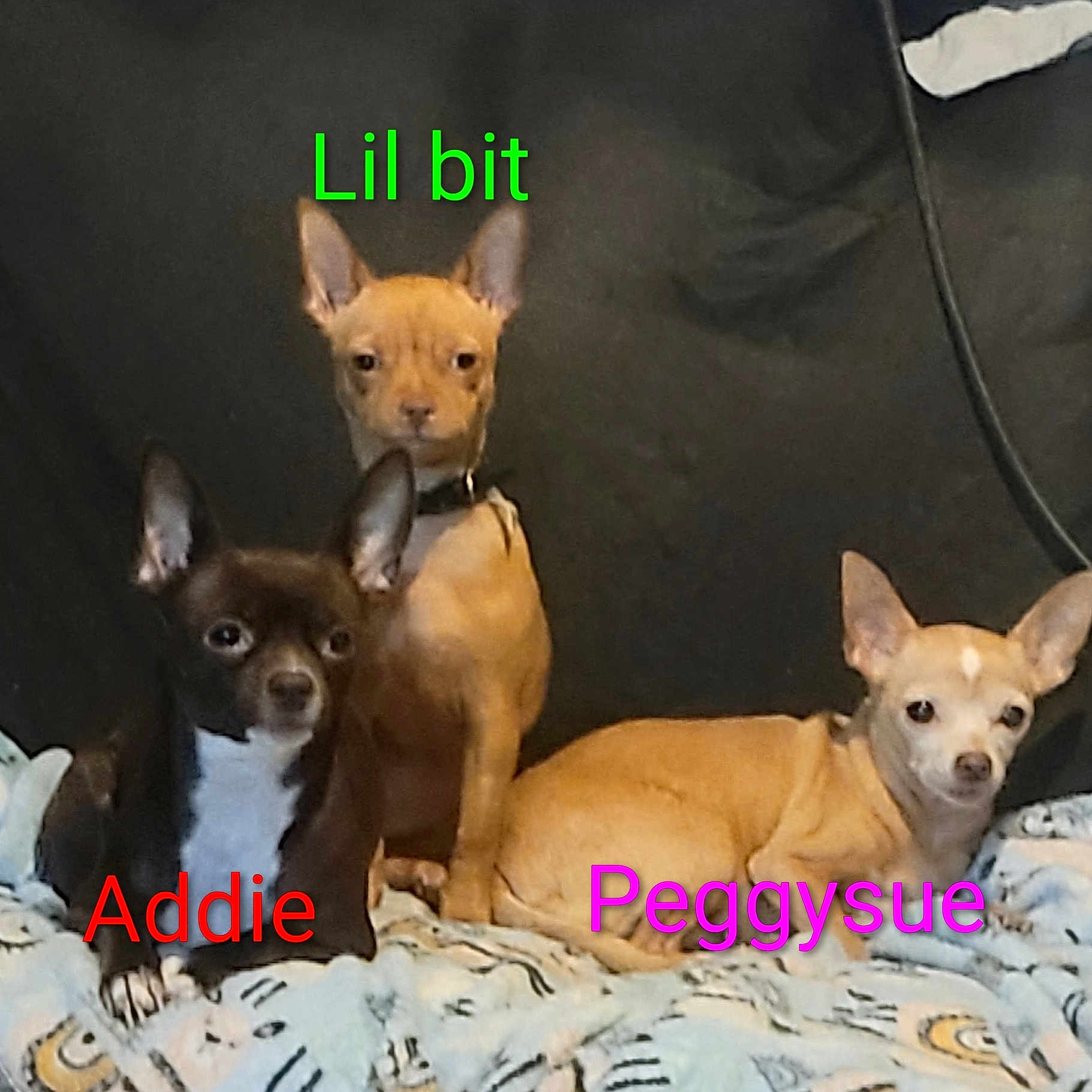 Addielil Bitpeggysue