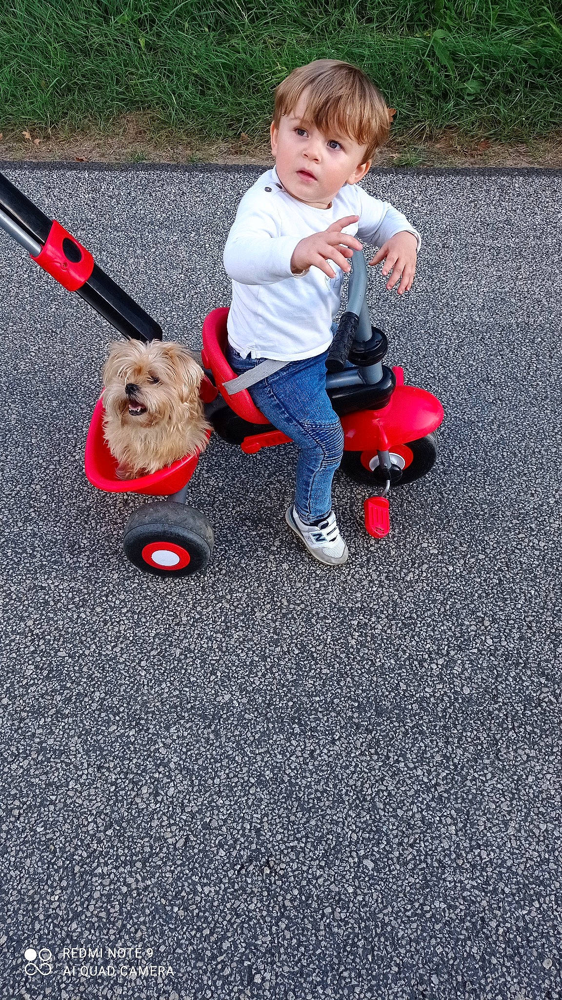 Djullian participe au concours pour gagner de l'argent avec cette photo : asphalt, baby, baby_toddler_clothing, carmine, child, companion_dog, flooring, fun, grass, people_in_nature, person, plant, play, product, recreation, road_surface, shoe, sitting, sneakers, toddler