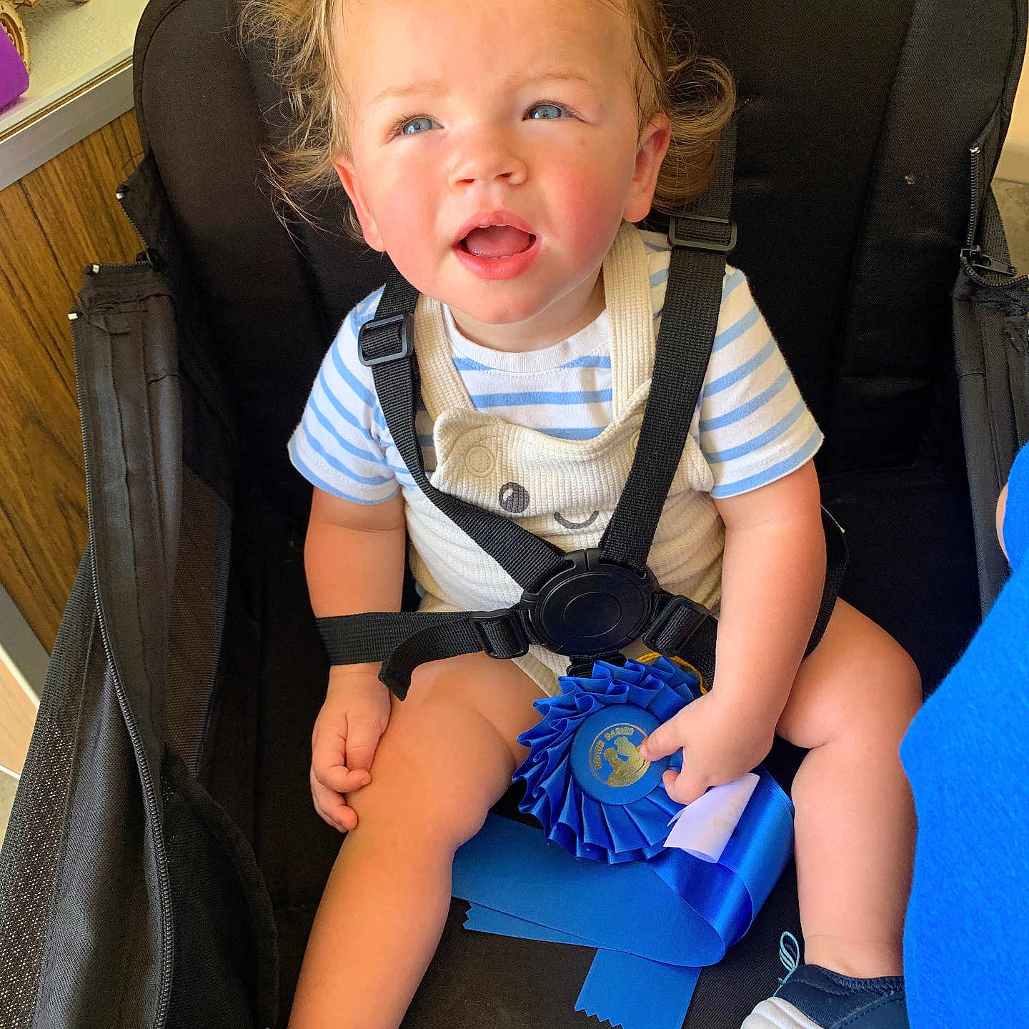 Ozzee is registered to the contest to win money with this photo: award, black_stroller, blue_ribbon, child, curly_hair, expression, face, furniture, hand, indoor, light, overalls, paper, person, seatbelt, shoes, striped_shirt, stroller, toddler, toy