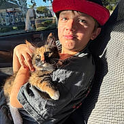 Pumpkin is registered to the contest to win money with this photo: animal, boy, cap, car_seat, casual_clothing, cat, child, comfort, domestic_animal, fur, holding, indoor, kitten, outdoor_view, pet, portrait, shadow, sunlight, trees, window