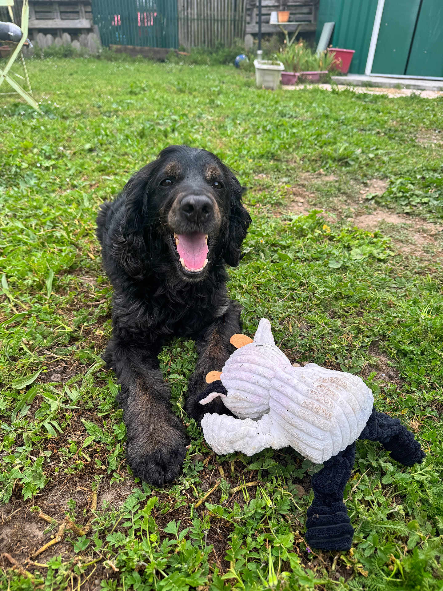 Max