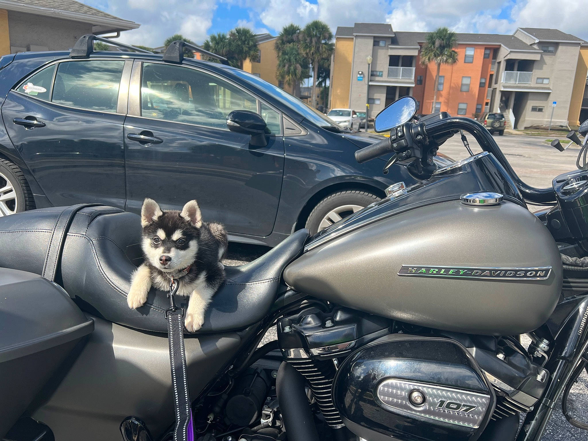 Kleo joined the competition — help win amazing prizes! alloy_wheel, automotive_design, automotive_exterior, automotive_lighting, automotive_tire, car, cloud, fender, fuel_tank, headlamp, hood, mode_of_transport, motor_vehicle, personal_luxury_car, rim, sky, tire, vehicle, wheel, window