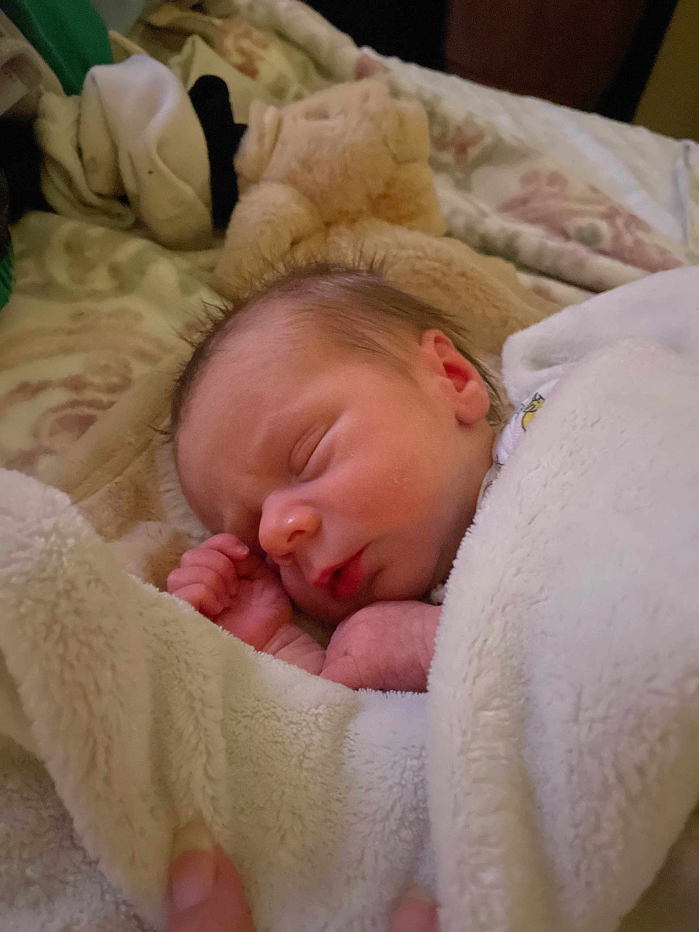 Kashdn joined the competition — help win amazing prizes! newborn, baby, sleeping, blanket, soft, plush, teddy_bear, cozy, bed, infant, peaceful, wrapped, cute, child, portrait, indoor, warm, resting, face, hand