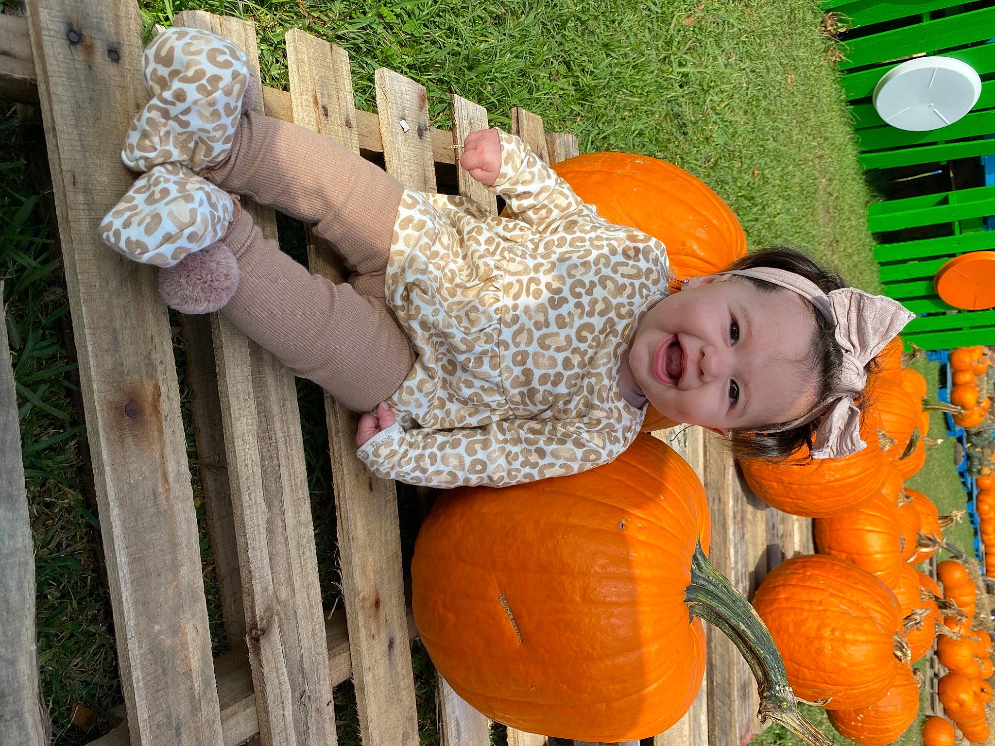Kaylani Hadassah Mccormick joined the competition — help win amazing prizes! baby_toddler_clothing, calabaza, child, cucurbita, fruit, gourd, grass, green, hat, headwear, leisure, natural_foods, orange, person, plant, pumpkin, squash, toddler, tree, vegetable