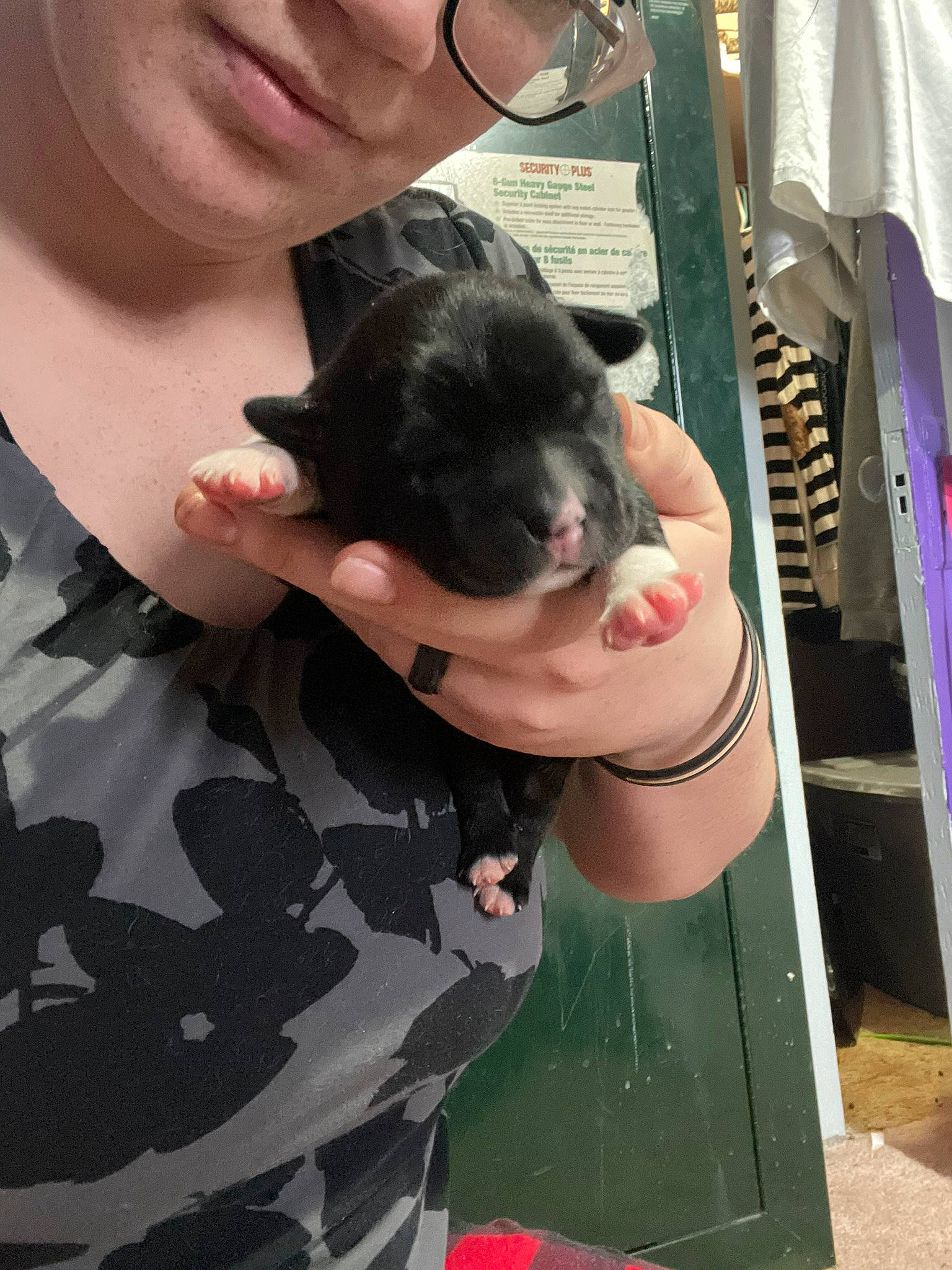 Diggit joined the competition — help win amazing prizes! canidae, carnivore, companion_dog, dog_breed, ear, eyewear, fawn, felidae, finger, fur, gesture, nail, small_to_medium_sized_cats, snout, sporting_group, t_shirt, thumb, toy_dog, whiskers, wildlife_biologist