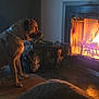 animal, brown_dog, chain_collar, cozy, dog, evening, fire, fireplace, floor, glow, home, indoor, light, log, pet, quiet, relaxation, shadow, warmth, wood