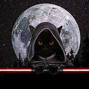 Max joined the competition — help win amazing prizes! cat, black_cat, hood, lightsaber, double_lightsaber, moon, full_moon, night_sky, stars, forest, trees, silhouette, fantasy, costume, animal, dark, mystery, science_fiction, fictional, weapon