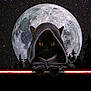 cat, black_cat, hood, lightsaber, double_lightsaber, moon, full_moon, night_sky, stars, forest, trees, silhouette, fantasy, costume, animal, dark, mystery, science_fiction, fictional, weapon