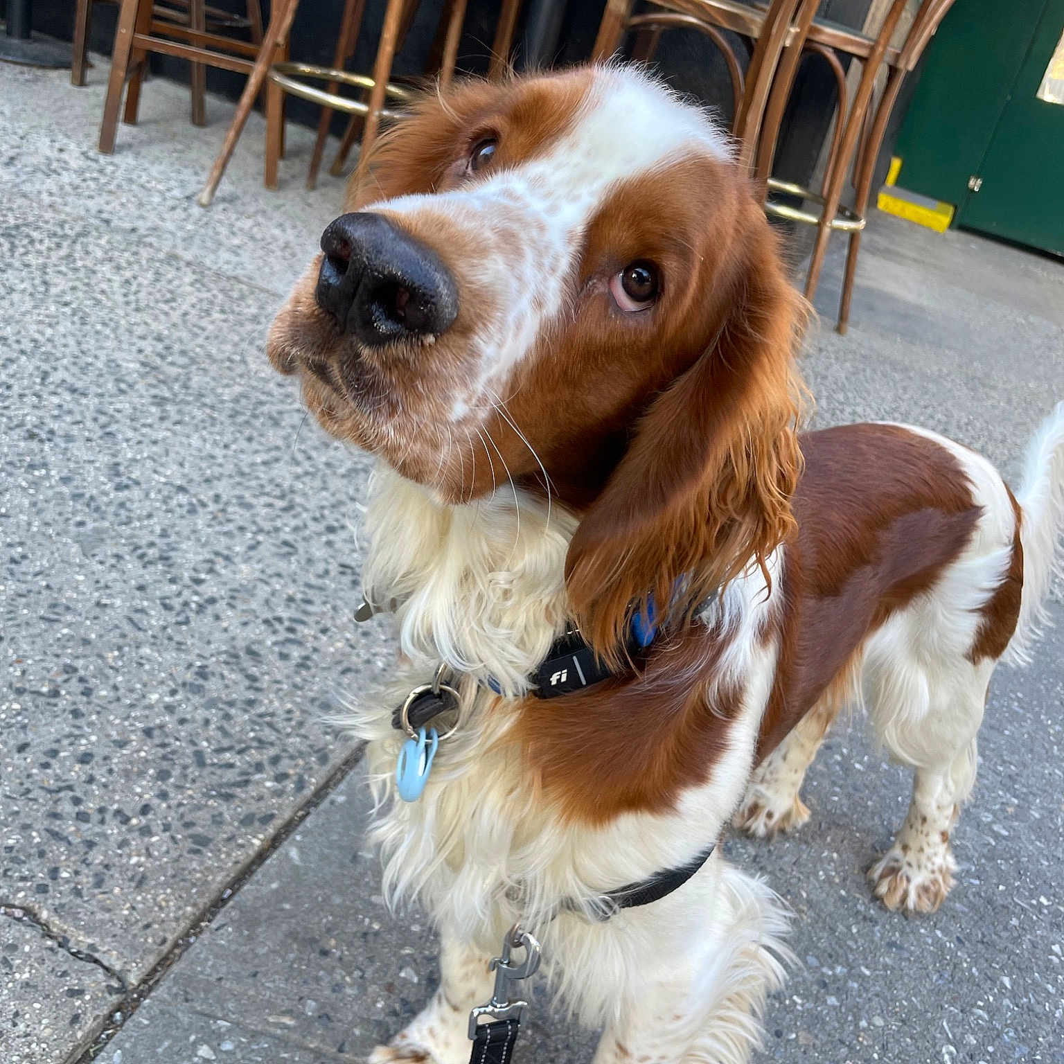Tucker
