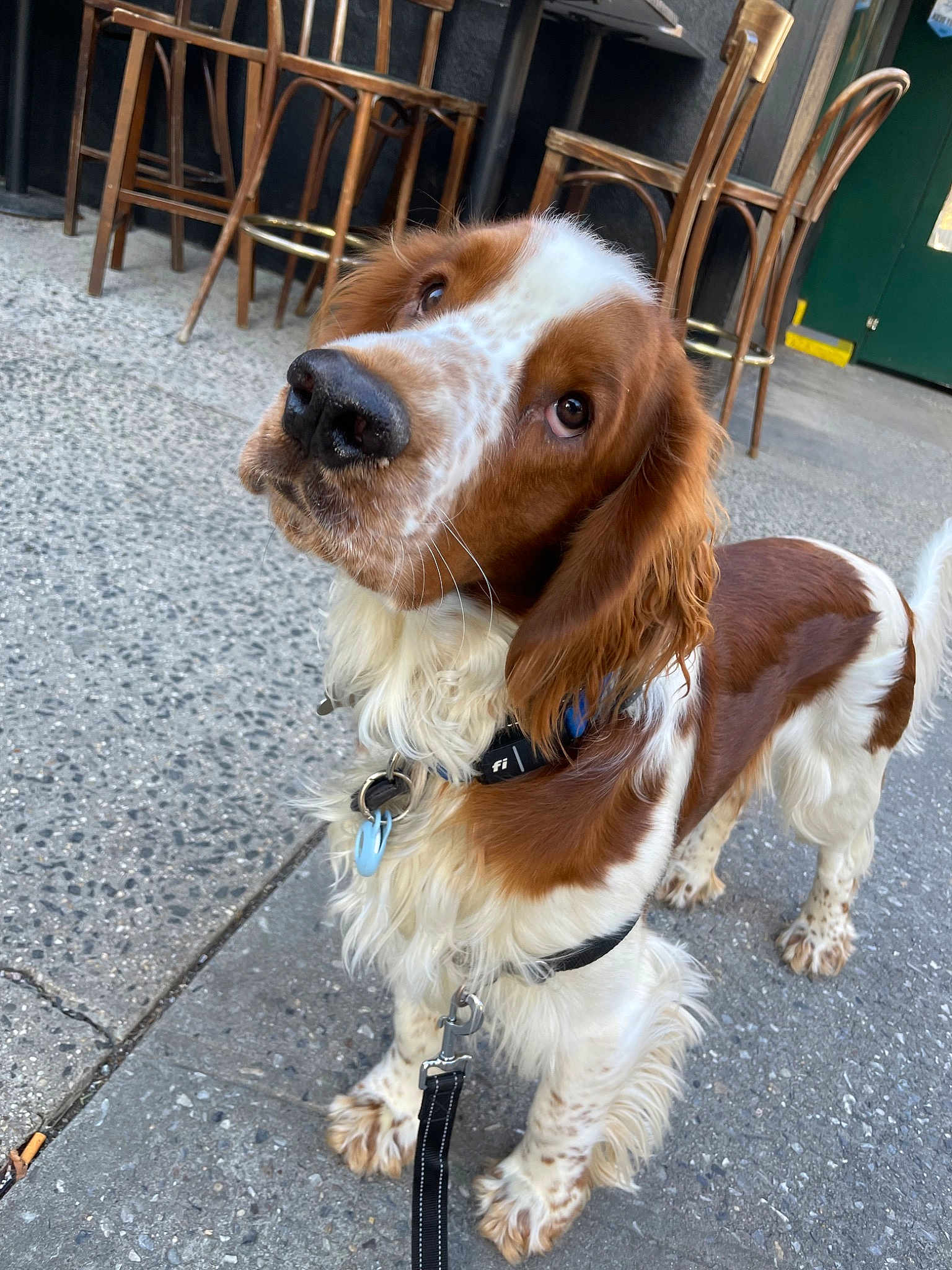 Tucker