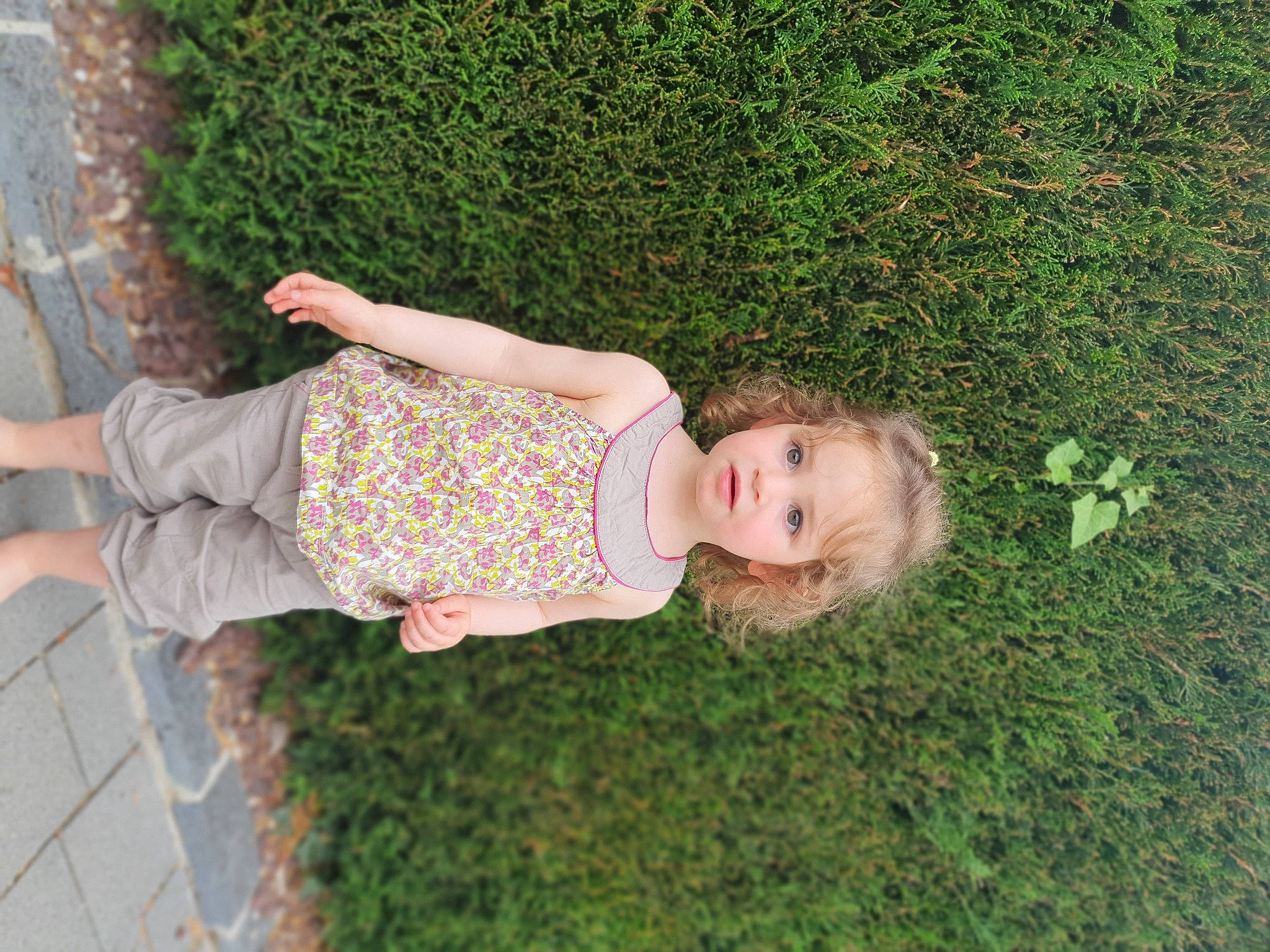 Romy participe au concours pour gagner de l'argent avec cette photo : baby_toddler_clothing, child, fun, garden, grass, green, groundcover, happy, hedge, human_leg, lawn, leisure, pattern, people_in_nature, person, plant, sandal, shrub, thigh, toddler