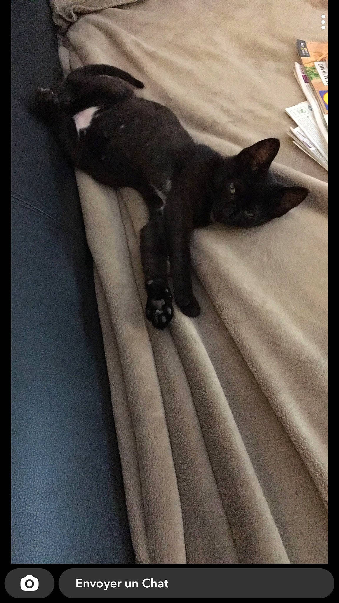 Scar participe au concours pour gagner de l'argent avec cette photo : black_cat, carnivore, cat, claw, comfort, domestic_short_haired_cat, felidae, flooring, formal_wear, fur, gesture, grey, human_leg, linens, monochrome_photography, room, small_to_medium_sized_cats, tail, thigh, whiskers