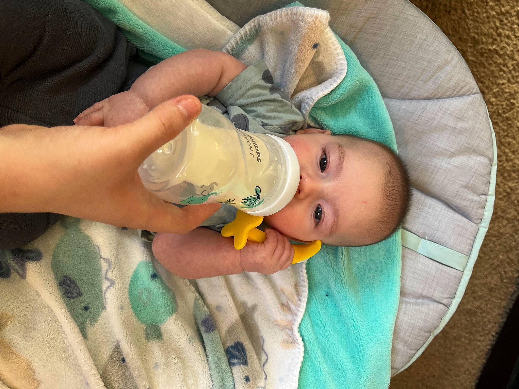 Bodie is registered to the contest to win money with this photo: abdomen, baby, baby_bottle, baby_products, baby_safety, baby_toddler_clothing, child, comfort, finger, hat, health_care, linens, medical_equipment, nail, person, room, service, skin, smile, thumb