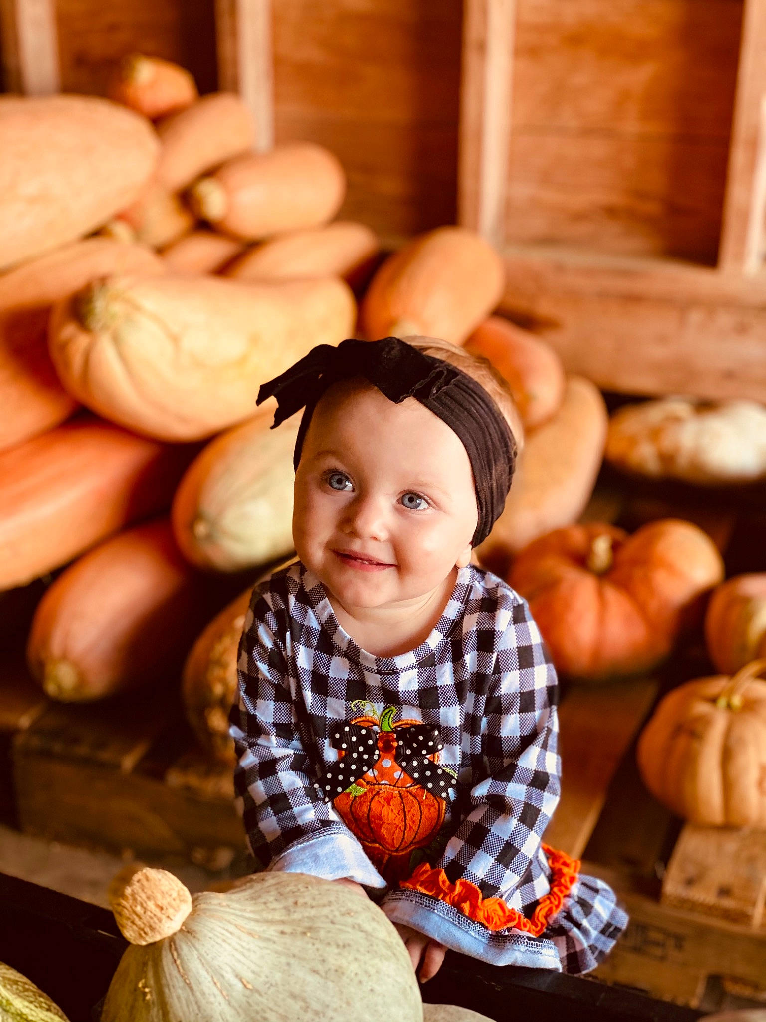 Emma-leigh joined the competition — help win amazing prizes! baby, calabaza, child, gourd, headgear, joy, people, person, plant, portrait_photography, pumpkin, sitting, smile, toddler, vegetable, winter_squash