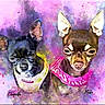 animal, artistic, bandana, chihuahua, colorful, cute, digital_art, dog, ears, expression, face, illustration, named, painting, pet, pink, portrait, purple_background, small_dog, splatter