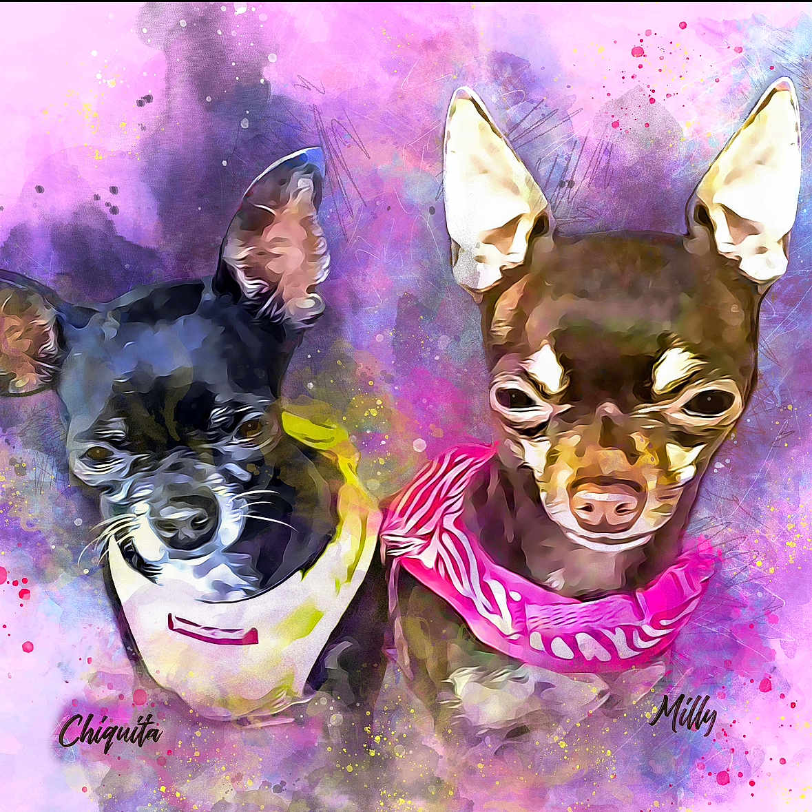 Chiquita An Milly
