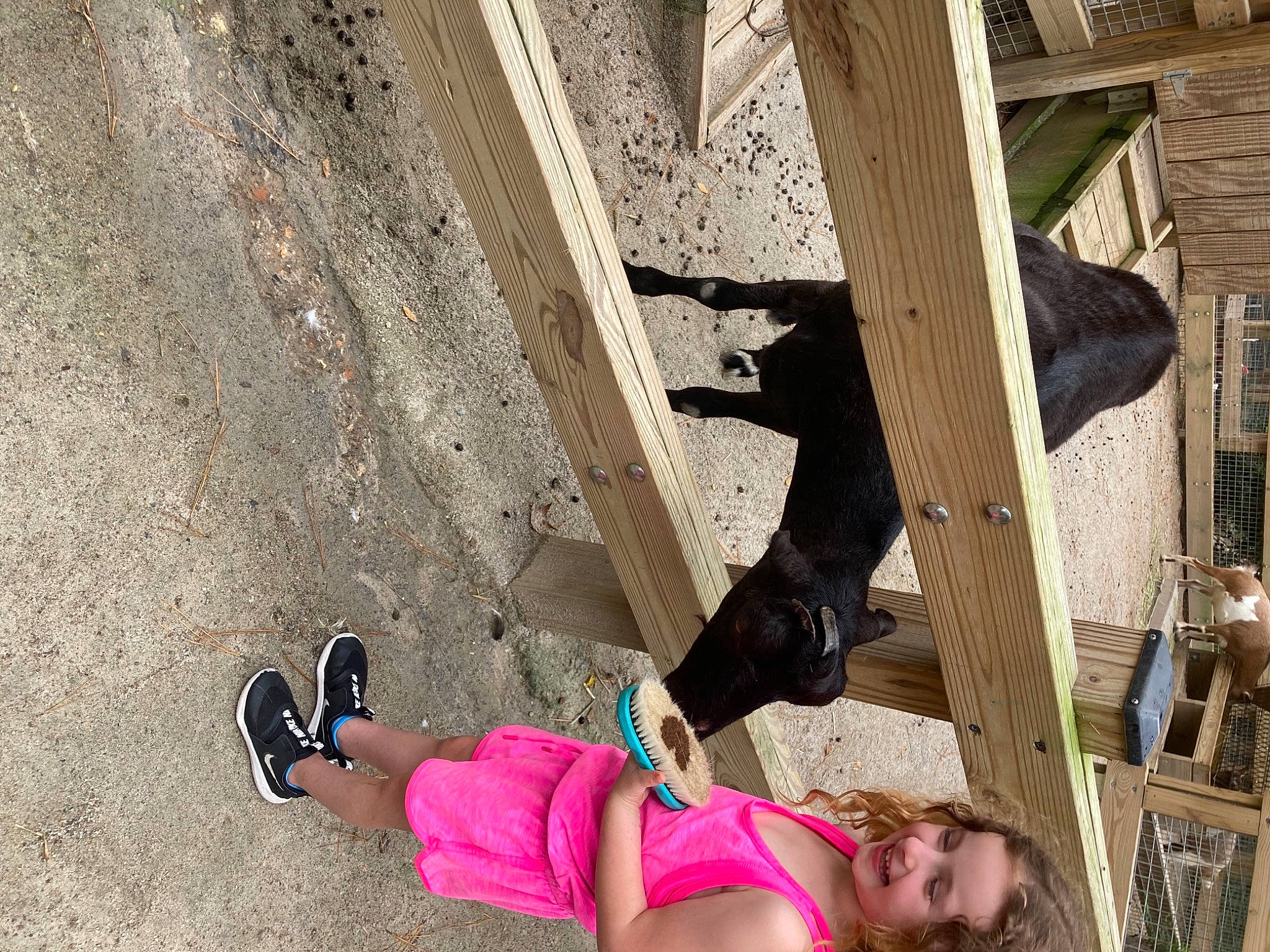 Harper joined the competition — help win amazing prizes! boot, concrete, foot, fun, human_leg, joy, knee, landscape, leg, leisure, magenta, person, pink, recreation, road_surface, sandal, shadow, sneakers, street_fashion, thigh