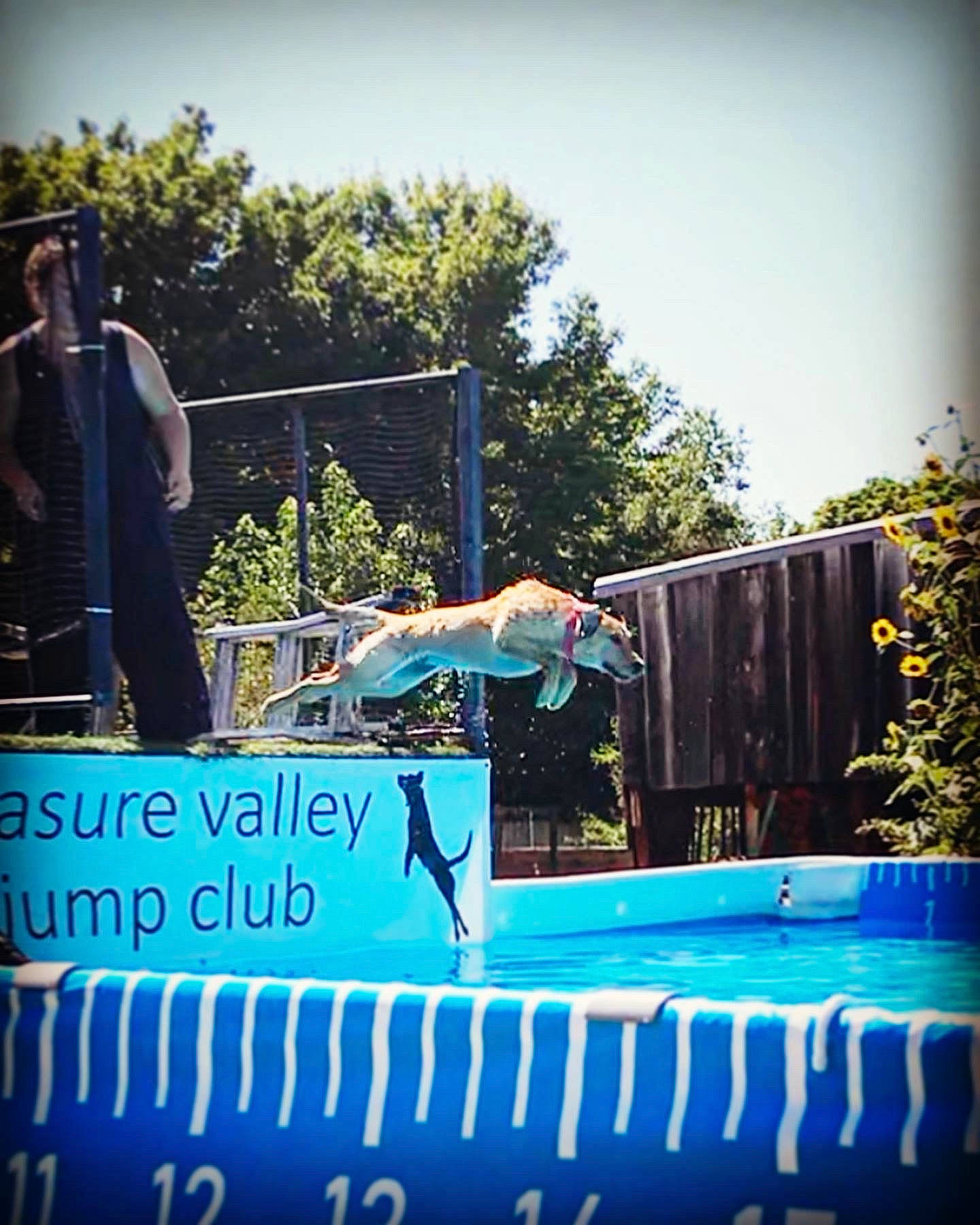 Holly is registered to the contest to win money with this photo: advertising, ball, competition, electric_blue, font, fun, grass, leisure, metal, recreation, signage, sky, sports, street, tree