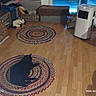 Gypsy participe au concours pour gagner de l'argent avec cette photo : air_purifier, basket, black_cat, blanket, blue_blinds, cat, cozy, cushion, flooring, furniture, home_decor, indoor, living_room, pet, plush_toy, relaxing, rug, table, window, wooden_floor