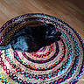 animal, black_cat, cat, circular_rug, colorful_rug, cozy, domestic_cat, feline, flooring, home_interior, household, indoor, laying_down, natural_light, pet, resting, shadow, texture, wooden_floor, woven_rug