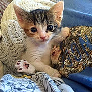 Emiley is registered to the contest to win money with this photo: