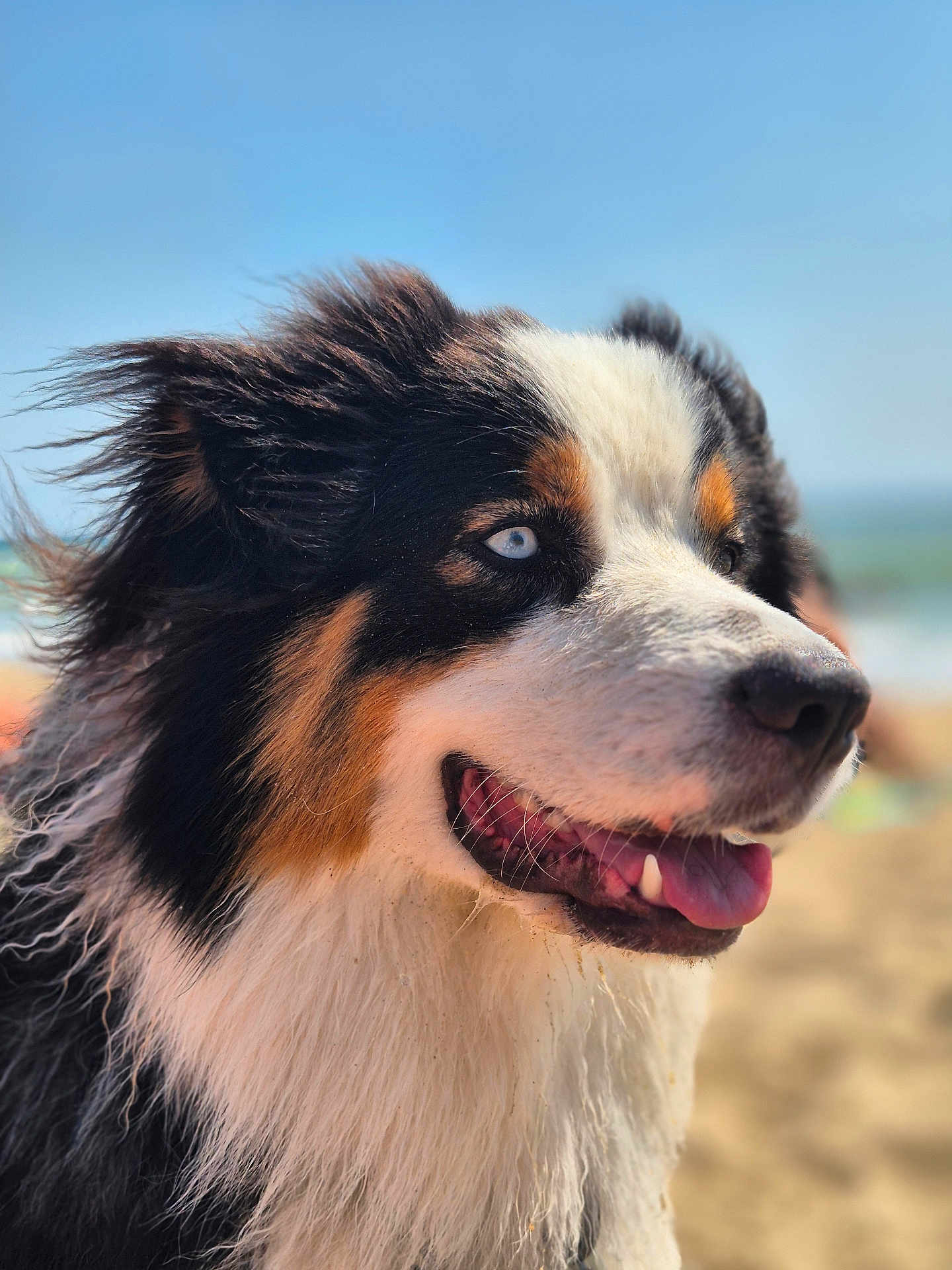 Loki