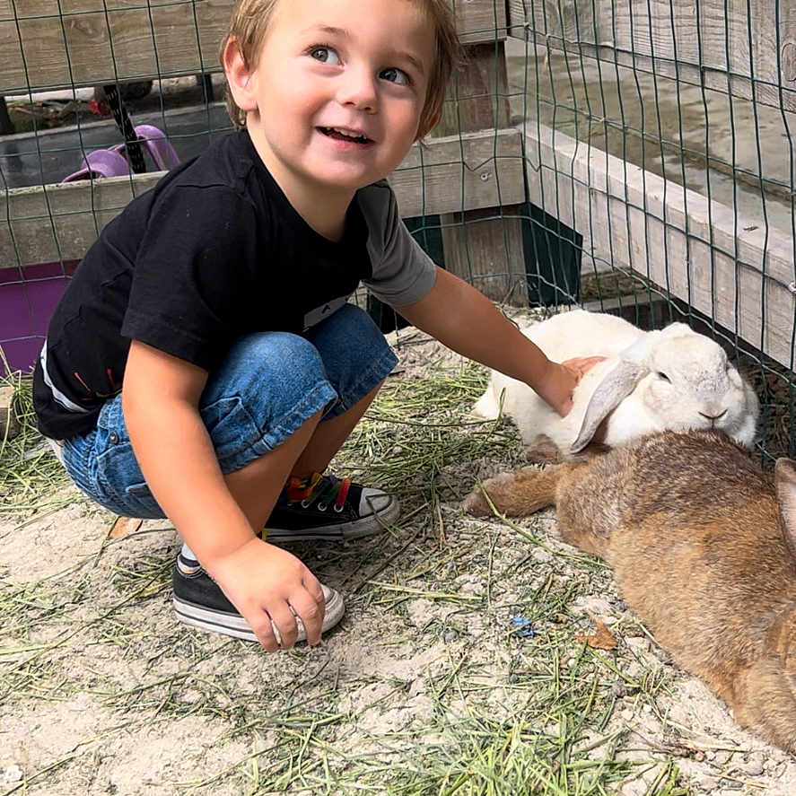 David Matthew is registered to the contest to win money with this photo: adult, animal, boy, child, clothing, face, footwear, head, jeans, livestock, male, man, pants, person, photography, portrait, rabbit, sheep, shoe, zoo