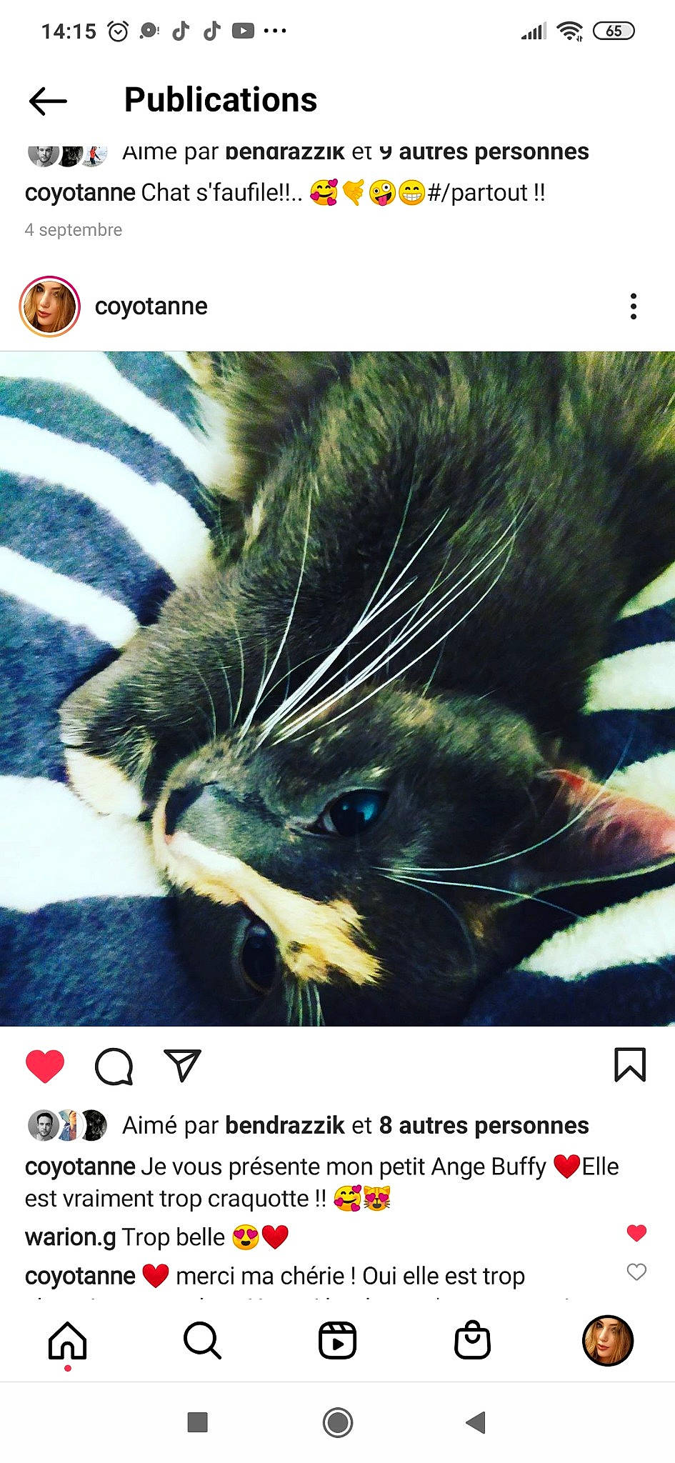 Buffy a rejoint le concours — aidez-le/la à gagner de superbes lots ! adaptation, advertising, carnivore, cat, cat_supply, claw, domestic_short_haired_cat, electric_blue, felidae, font, fur, organism, paw, photo_caption, photograph, small_to_medium_sized_cats, snapshot, snout, whiskers, wildlife